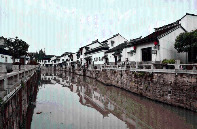 救援小洋葱